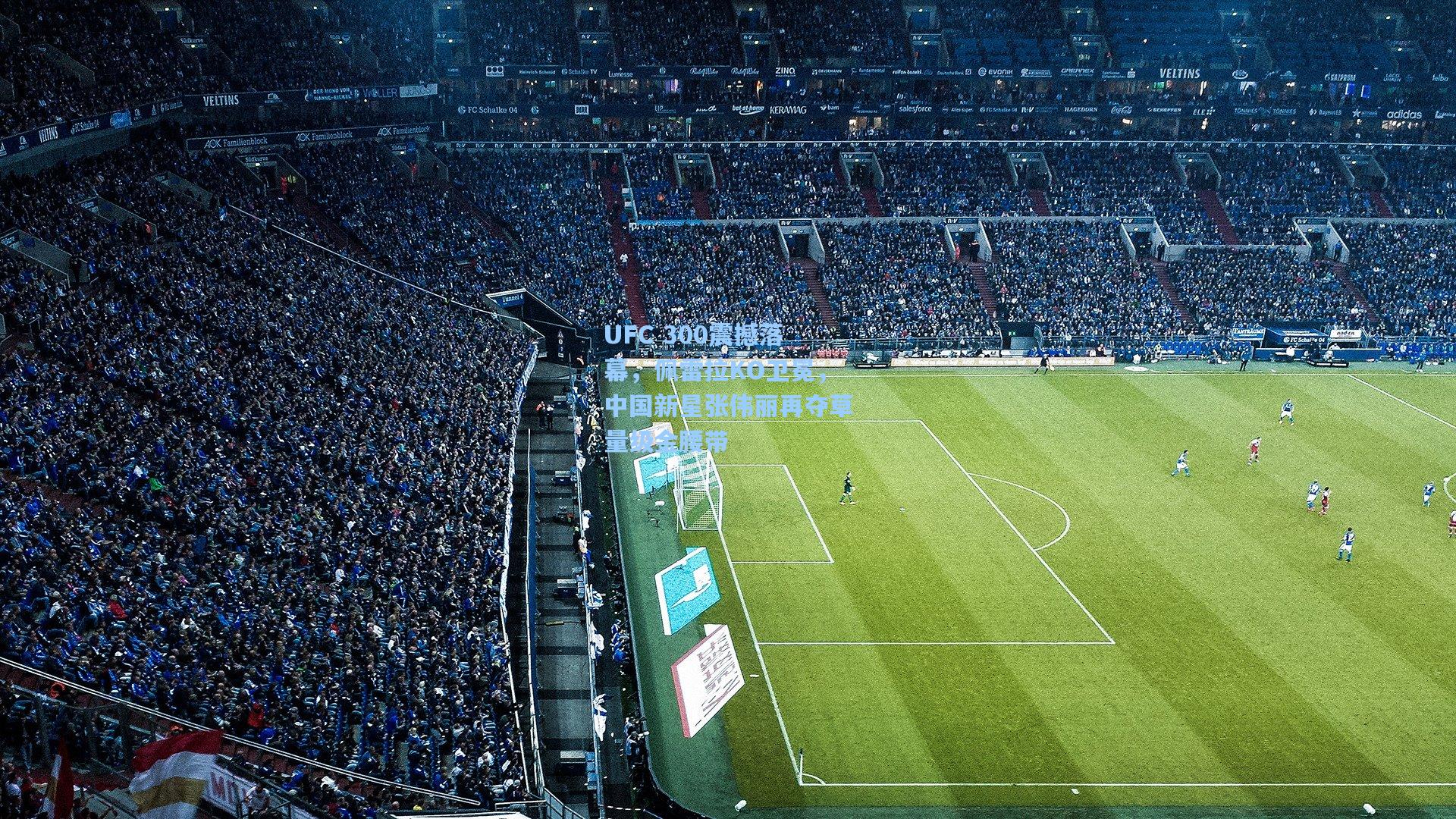 UFC 300震撼落幕，佩雷拉KO卫冕，中国新星张伟丽再夺草量级金腰带