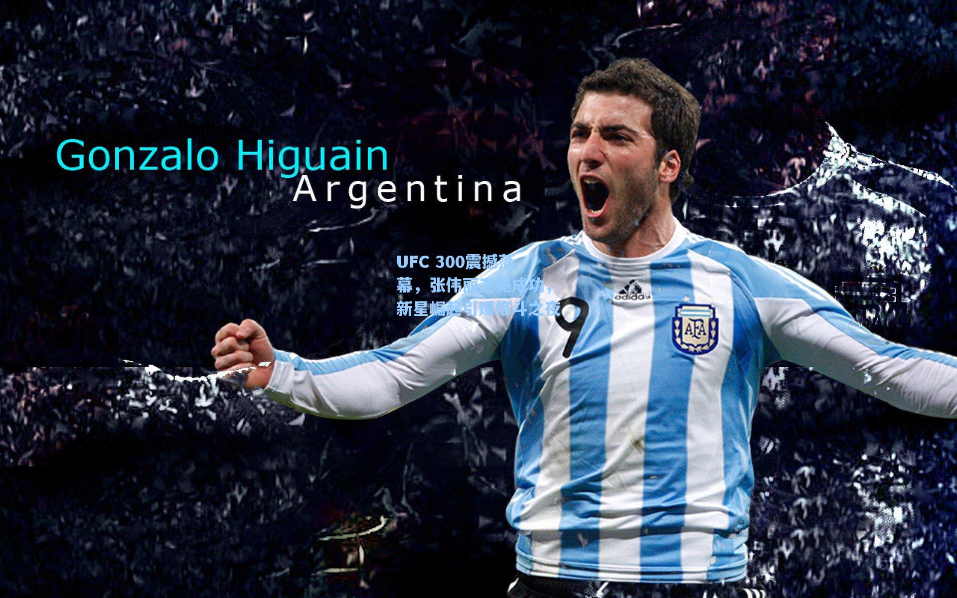 UFC 300震撼落幕，张伟丽卫冕成功，新星崛起引爆格斗之夜