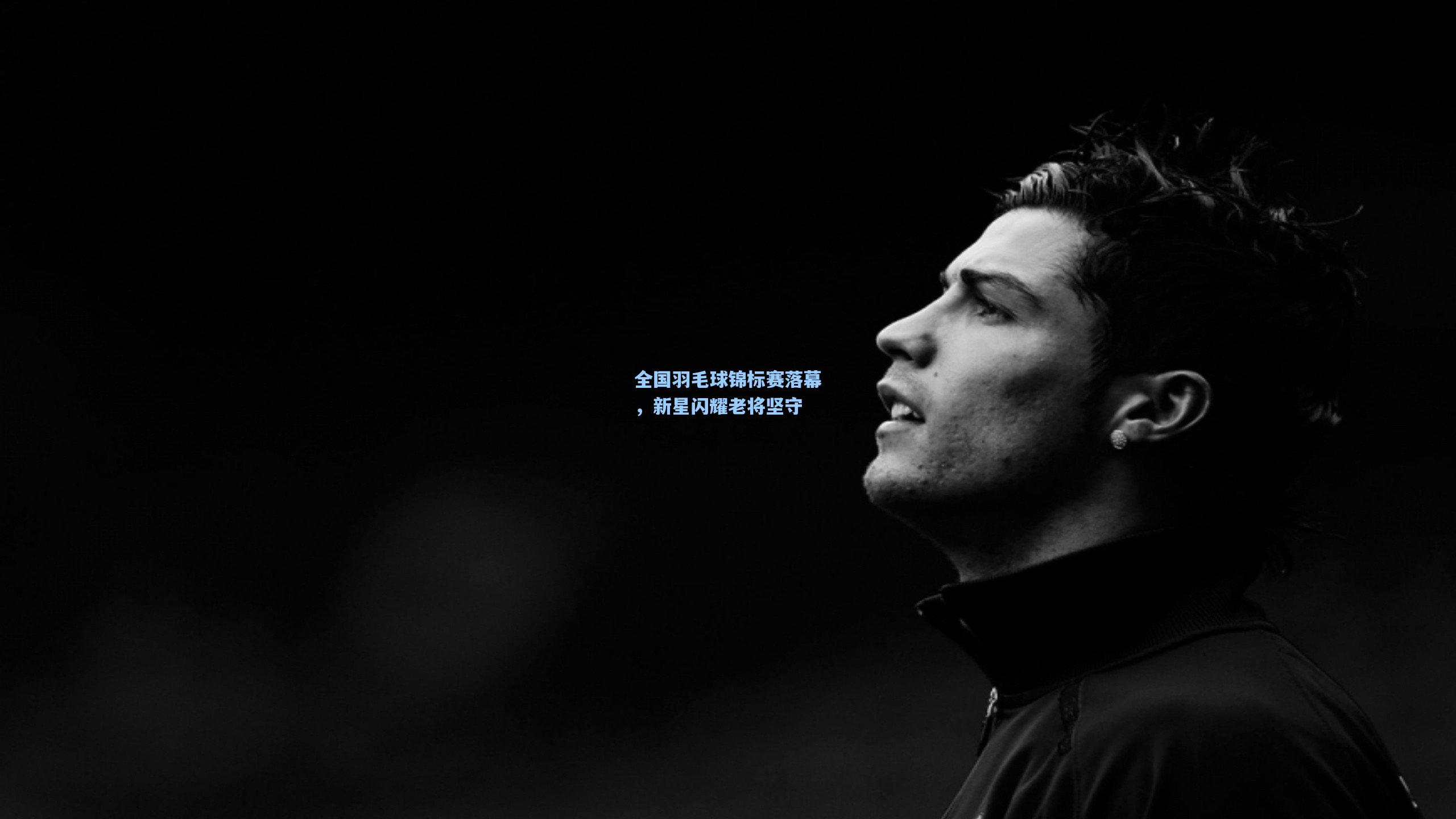 全国羽毛球锦标赛落幕，新星闪耀老将坚守